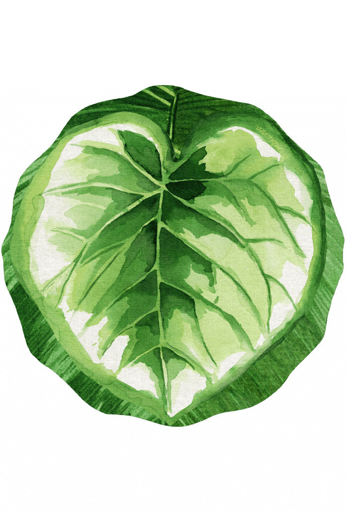 pvc placemat Ø 37 FOGLIA