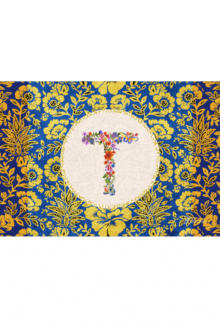 pvc placemat 35X50 MONOGRAMMA MULTICOLOR T