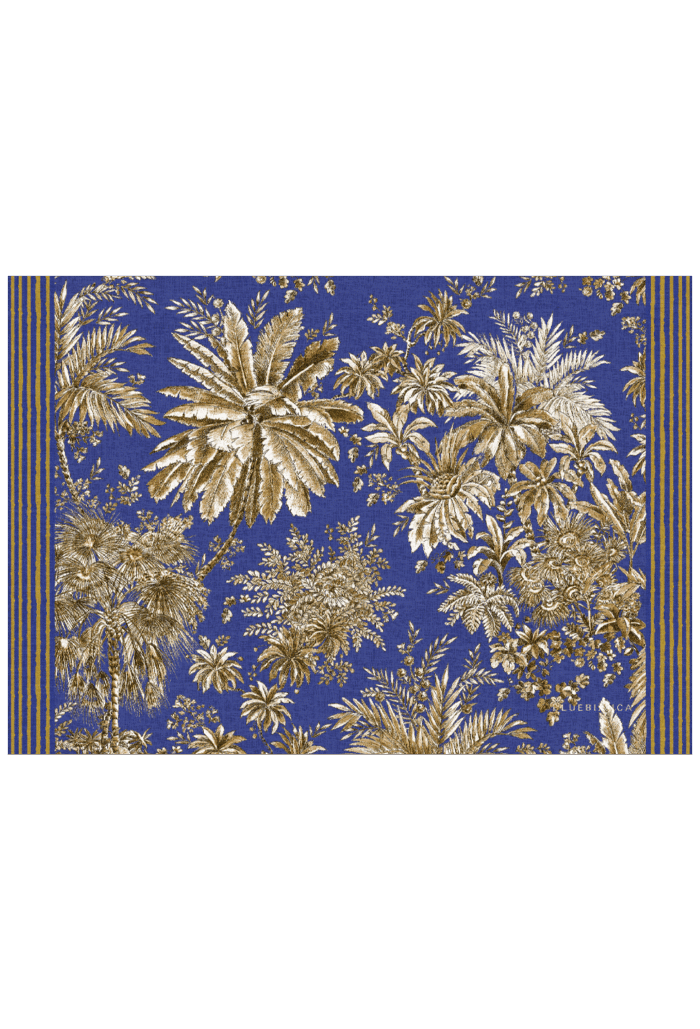 pvc placemat 35X50 TOILE